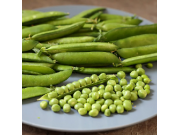 Hurst Green Shaft Peas (1/2 pint)